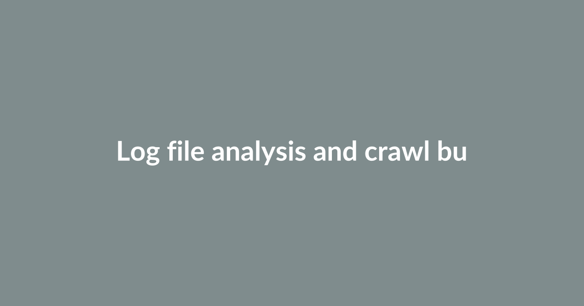 Log file analysis and crawl budget optimization